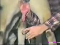 Big dog dick got jacked off by beastie gal
